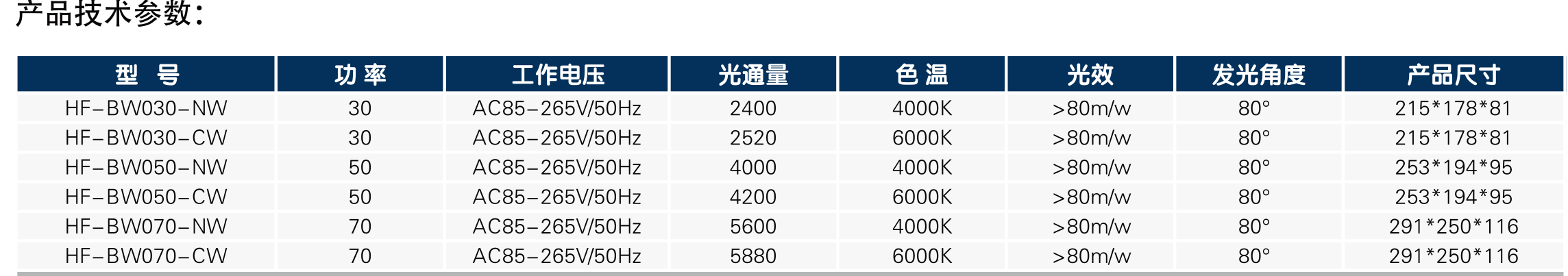 BW系列投光燈